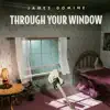 James Domine - Through Your Window